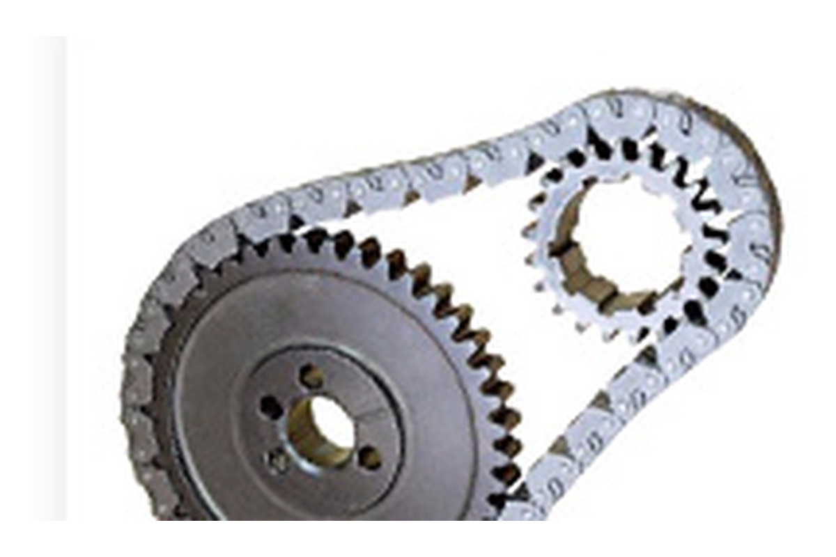 Motorcycle-type sealed chain installed around two sprockets
